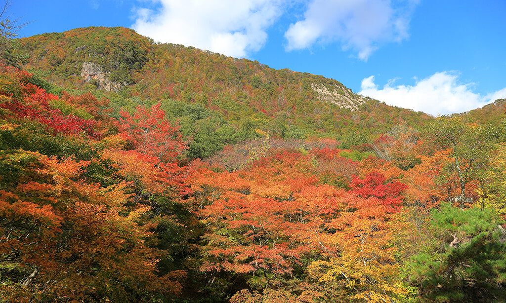 佐渡旅行のベストシーズンはいつ？目的別に最適な旅行時期を紹介